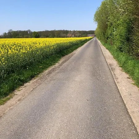 Souterrain-Zimmer Mit Bad In Altenberge/Naehe Muenster Альтенберге