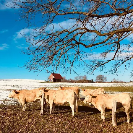 Проживание в семье Souterrain-Zimmer Mit Bad In Altenberge/Naehe Muenster